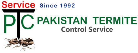Pakistan Termite Control Servcies